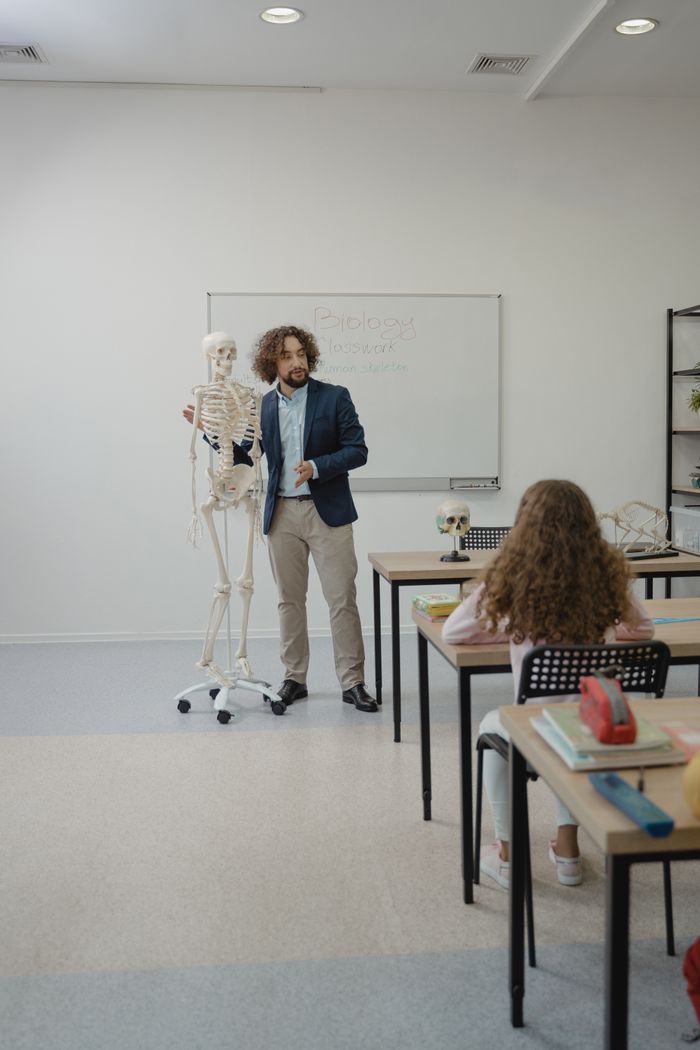 gallery-1 Teacher explaining anatomy with skeleton model in bright classroom setting.